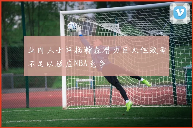 业内人士评杨瀚森潜力巨大但效率不足以适应NBA竞争