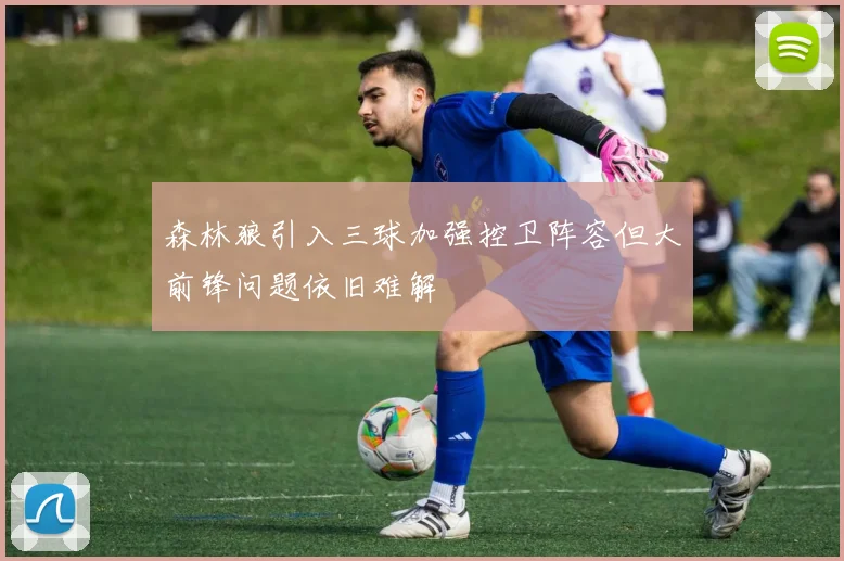 森林狼引入三球加强控卫阵容但大前锋问题依旧难解