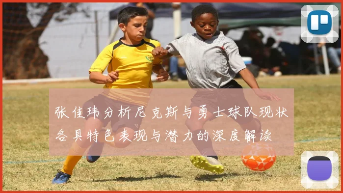 张佳玮分析尼克斯与勇士球队现状各具特色表现与潜力的深度解读